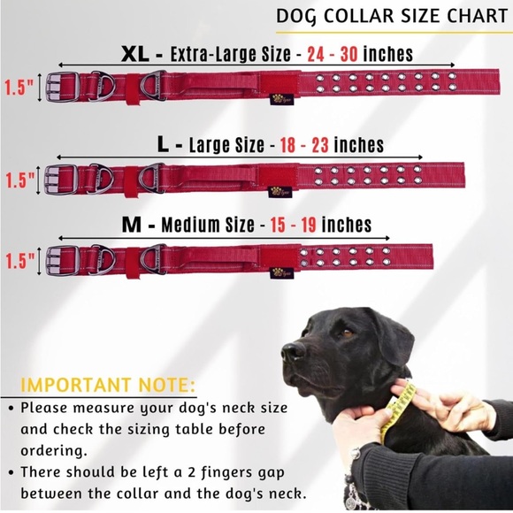 ADITYNA Heavy Duty Dog Collar with Handle - Reflective  size xl - Picture 2 of 5